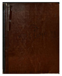 Diary, Volume 2 by George R. Heusinkveld