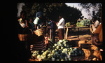 0109 Chipata: where they got fruits and vegetables by Arlene Schuiteman