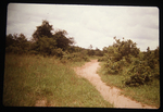 0290 Roads and Pathways in Macha – Moved there on March 3, 1981 by Arlene Schuiteman