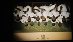 0352 Old NTS (Nurses Training School) – March ’81 – July ’83 by Arlene Schuiteman